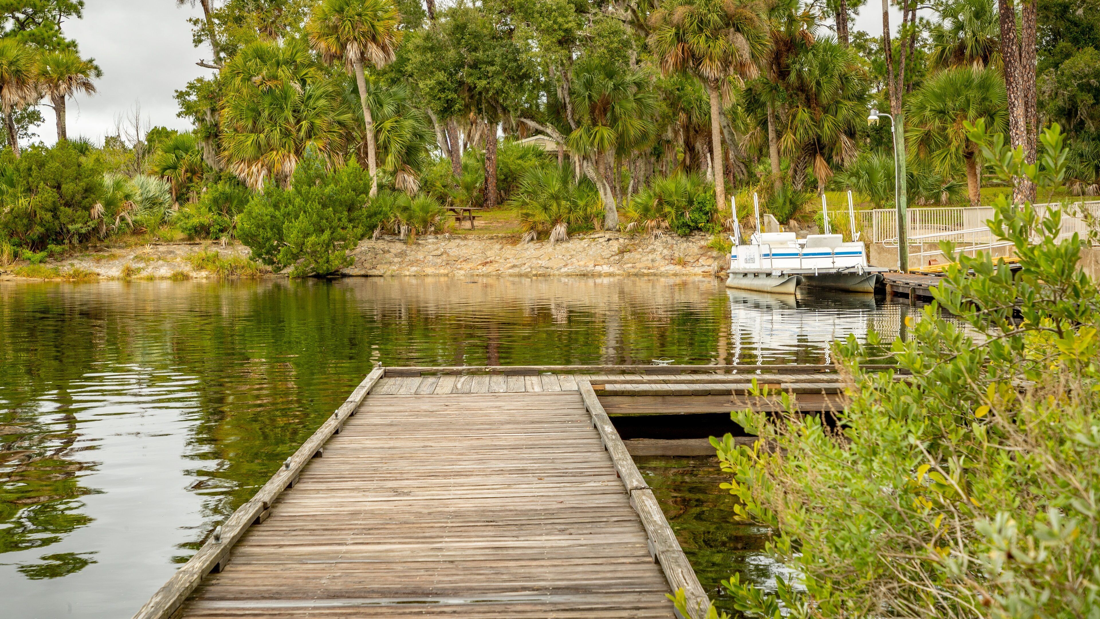 Tomoka State Park showing a bay or harbor