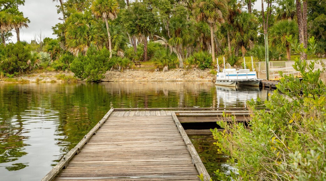 Tomoka State Park showing a bay or harbor