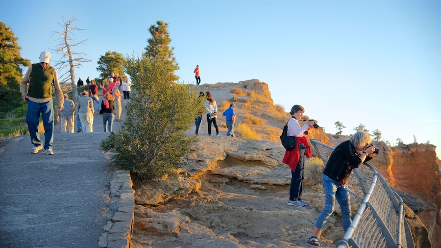Bryce Point og byder på vandring eller gåture, udsigt og fredfyldte omgivelser