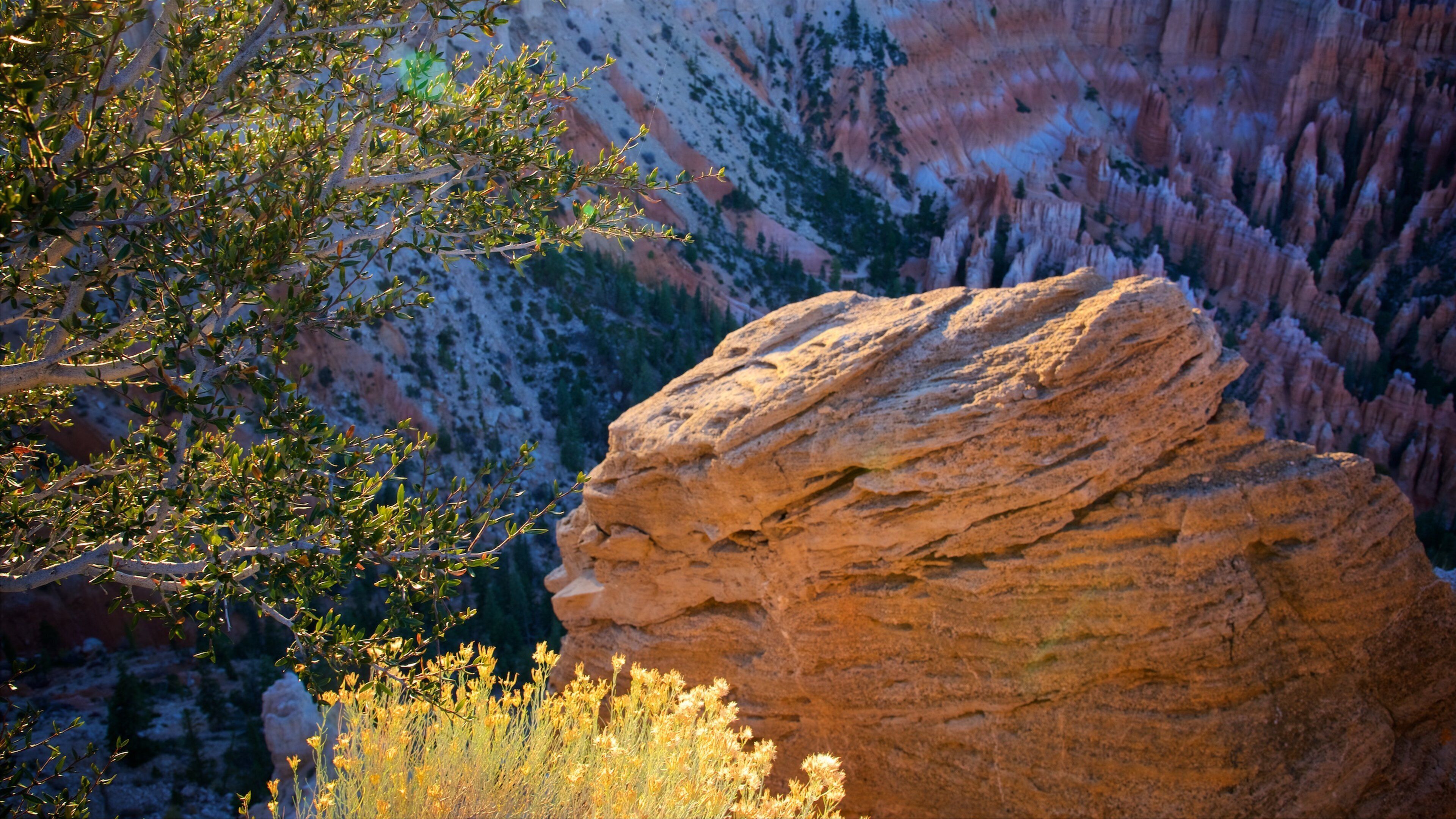 Bryce Point which includes a gorge or canyon and tranquil scenes