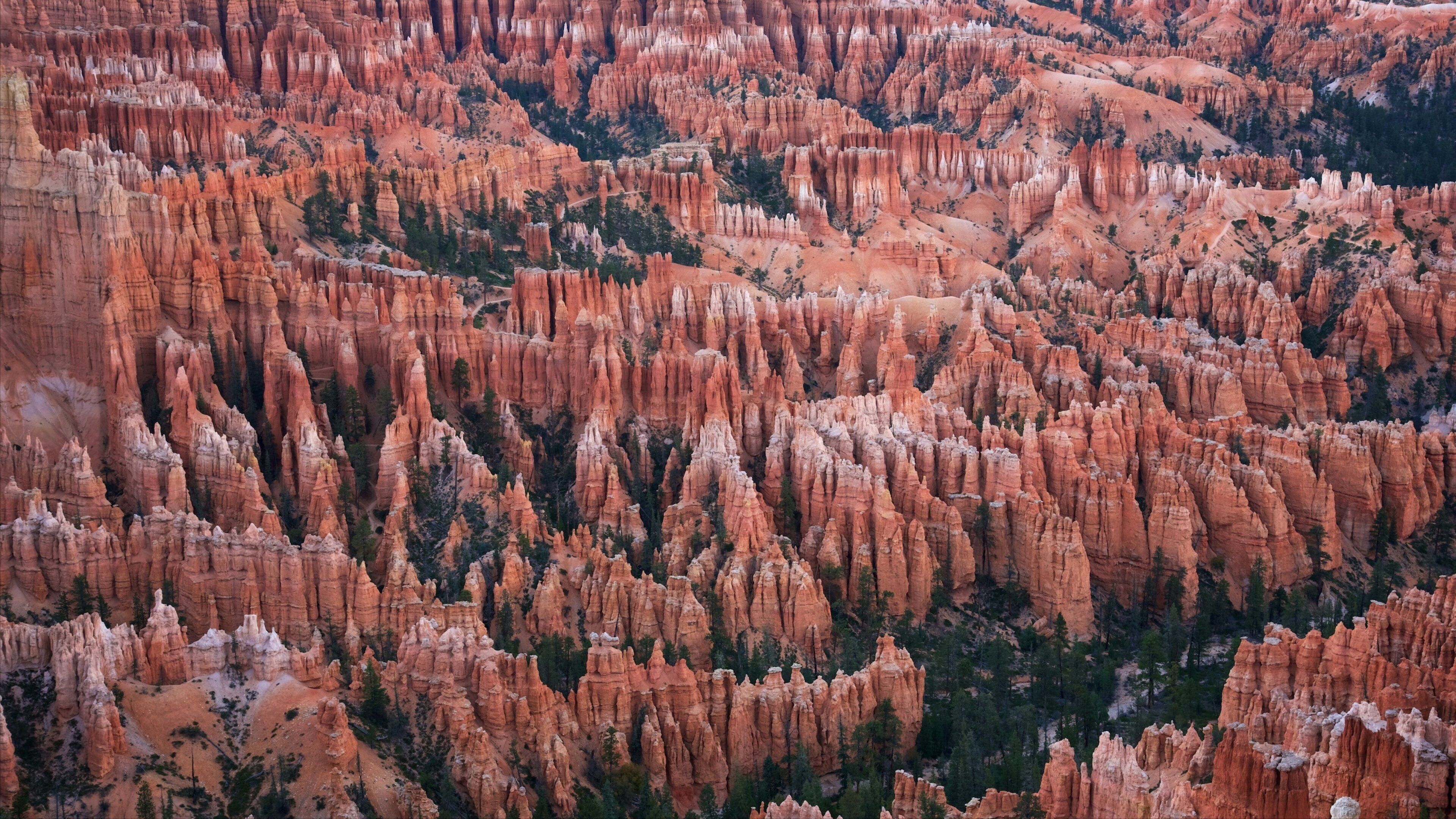Bryce Point which includes landscape views, a gorge or canyon and tranquil scenes