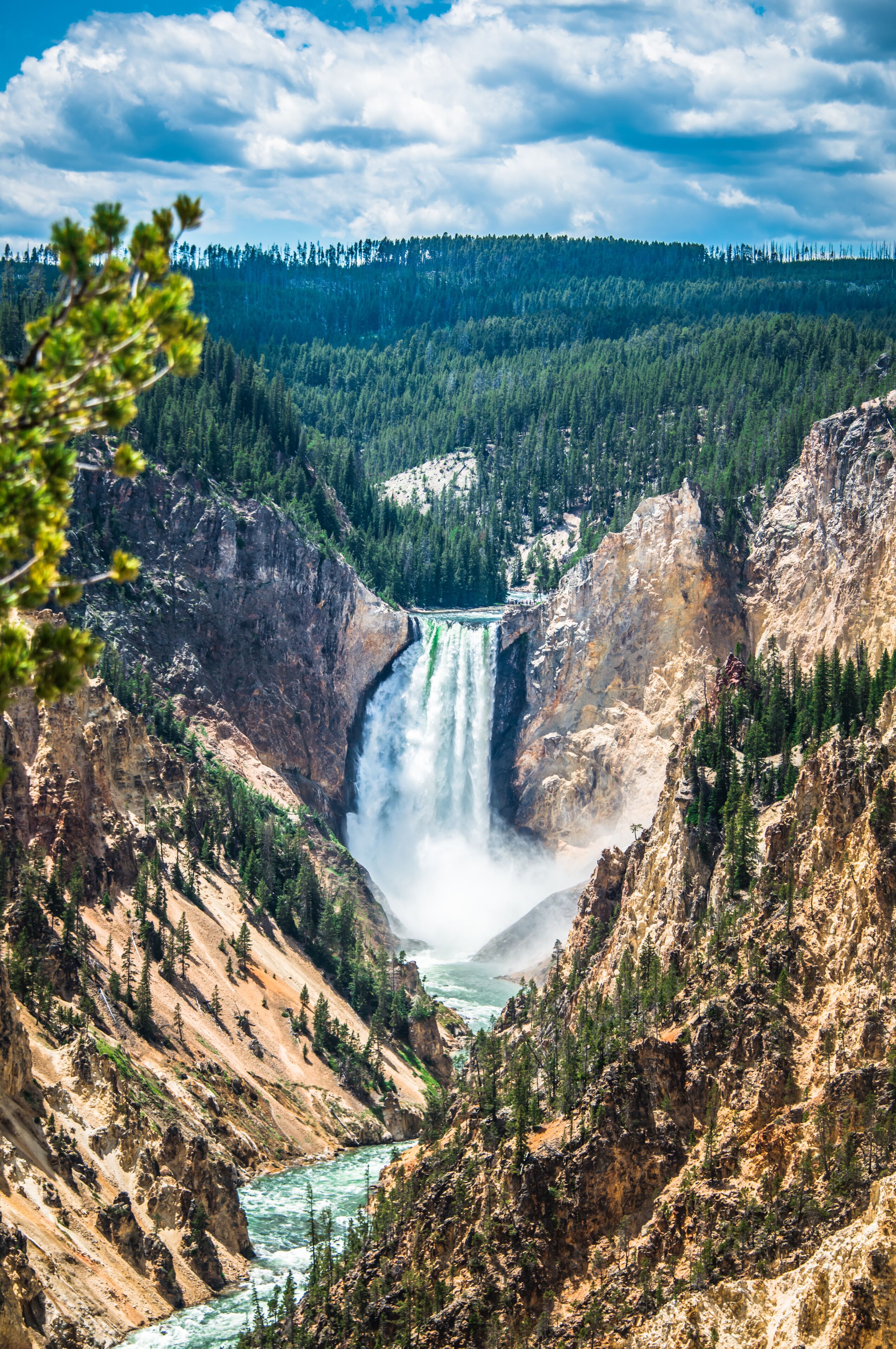 Lower Yellowstone falls 