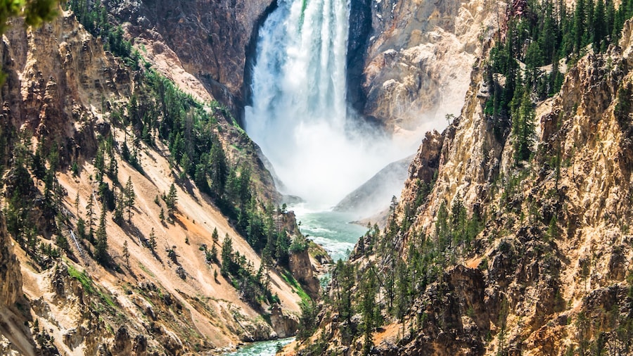 Lower Yellowstone falls