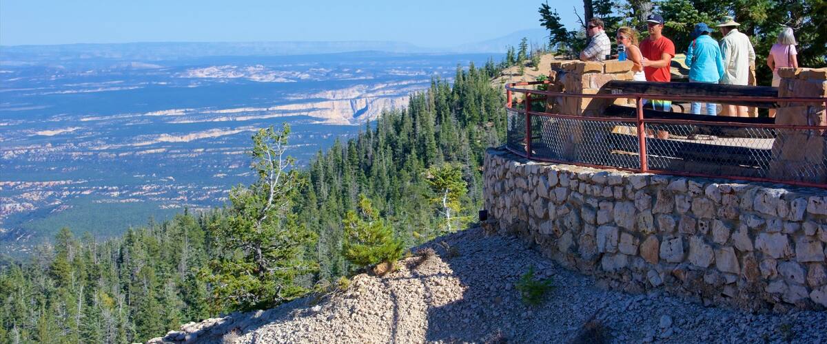Rainbow Point showing views, tranquil scenes and landscape views