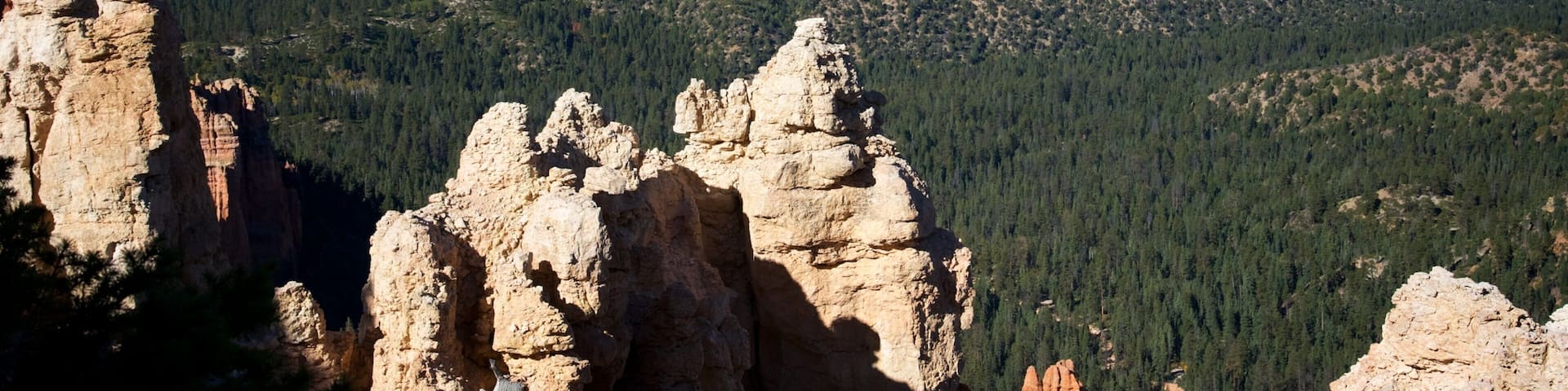 Rainbow Point showing a gorge or canyon, mountains and tranquil scenes