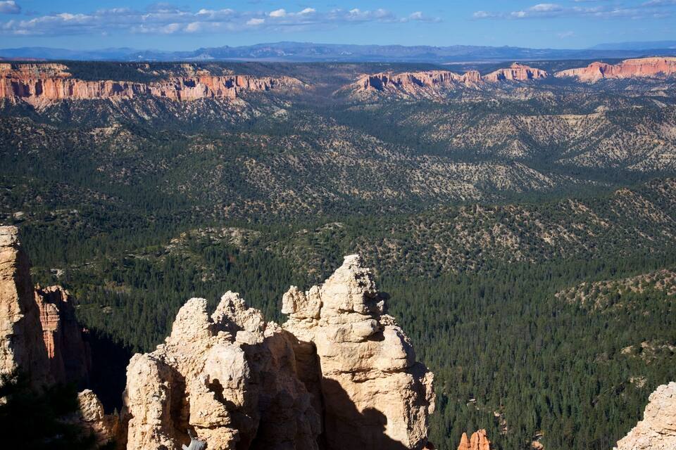 A canyon with prominent rock formations and dense forested areas.