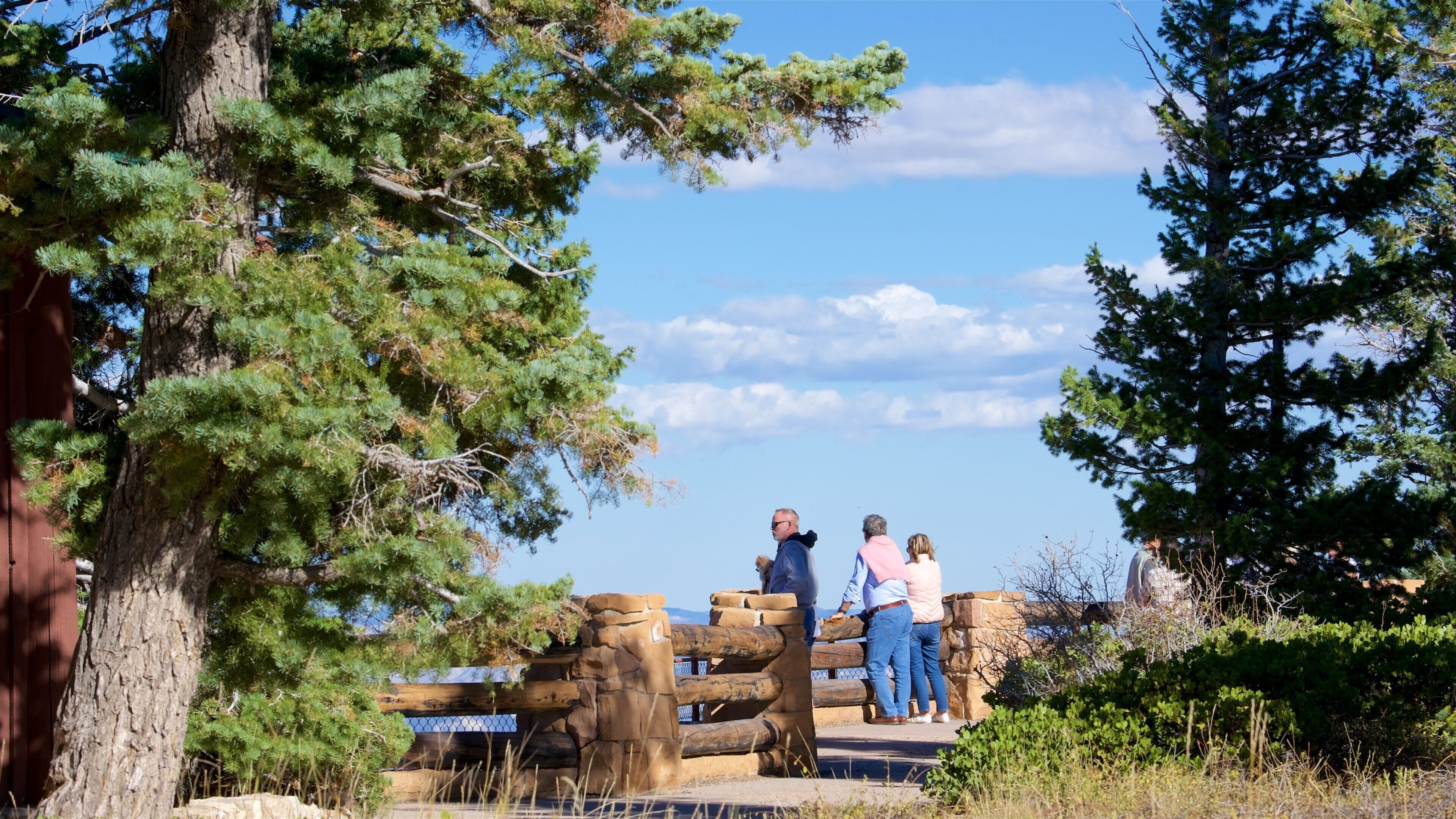 Rainbow Point showing tranquil scenes and views as well as a small group of people