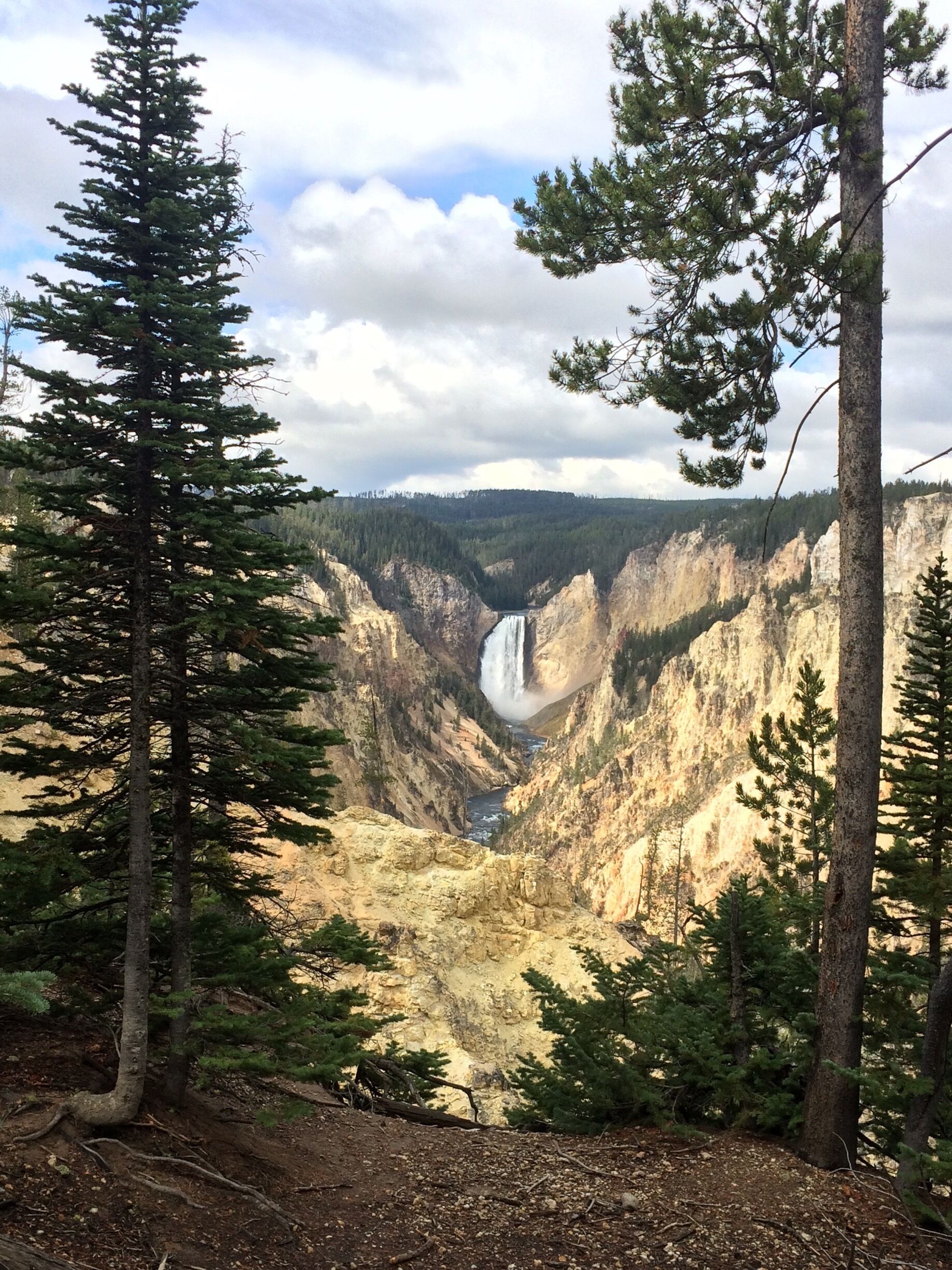 Yellowstone NP