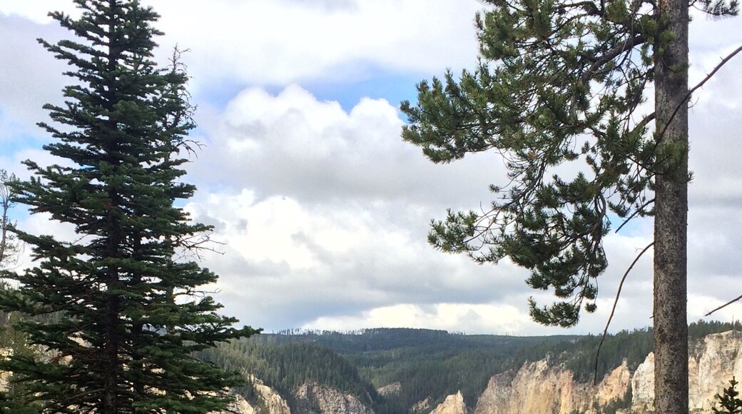 Yellowstone NP