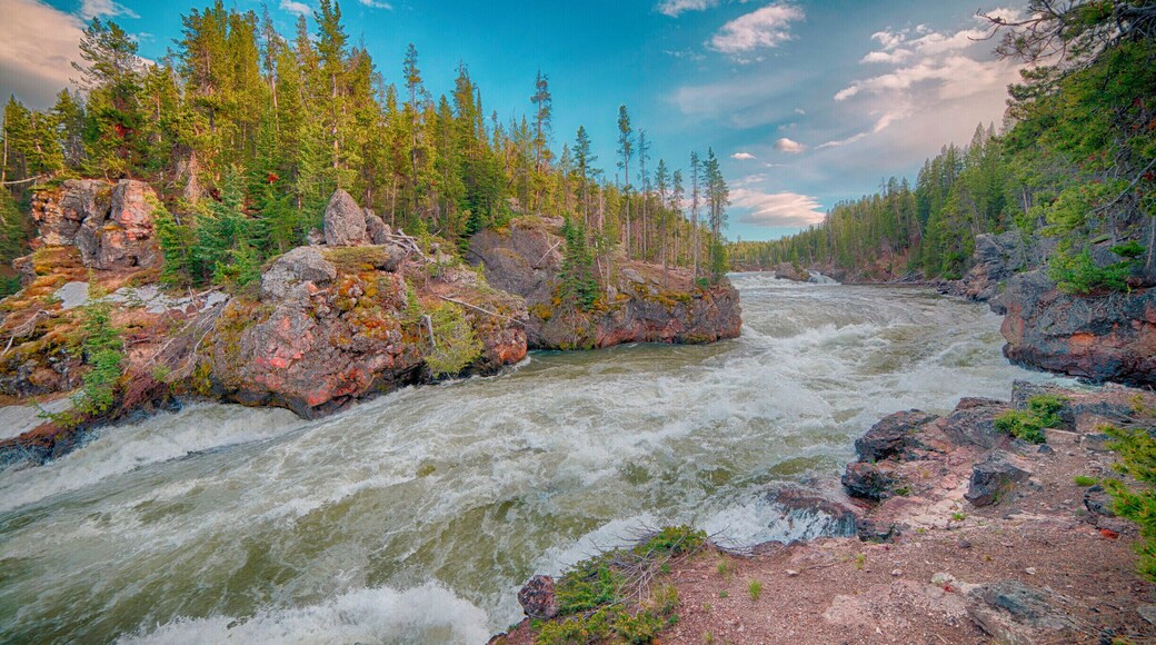 A short, easy walk from the parking lot takes you to the brink of the Upper Falls of the Yellowstone River in Yellowstone National Park. The power of water is tremendous.#yellowstone #river #nationalpark #wyoming