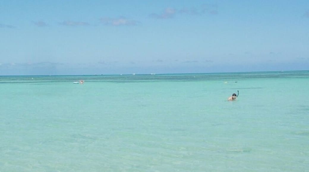 Is this heaven here?