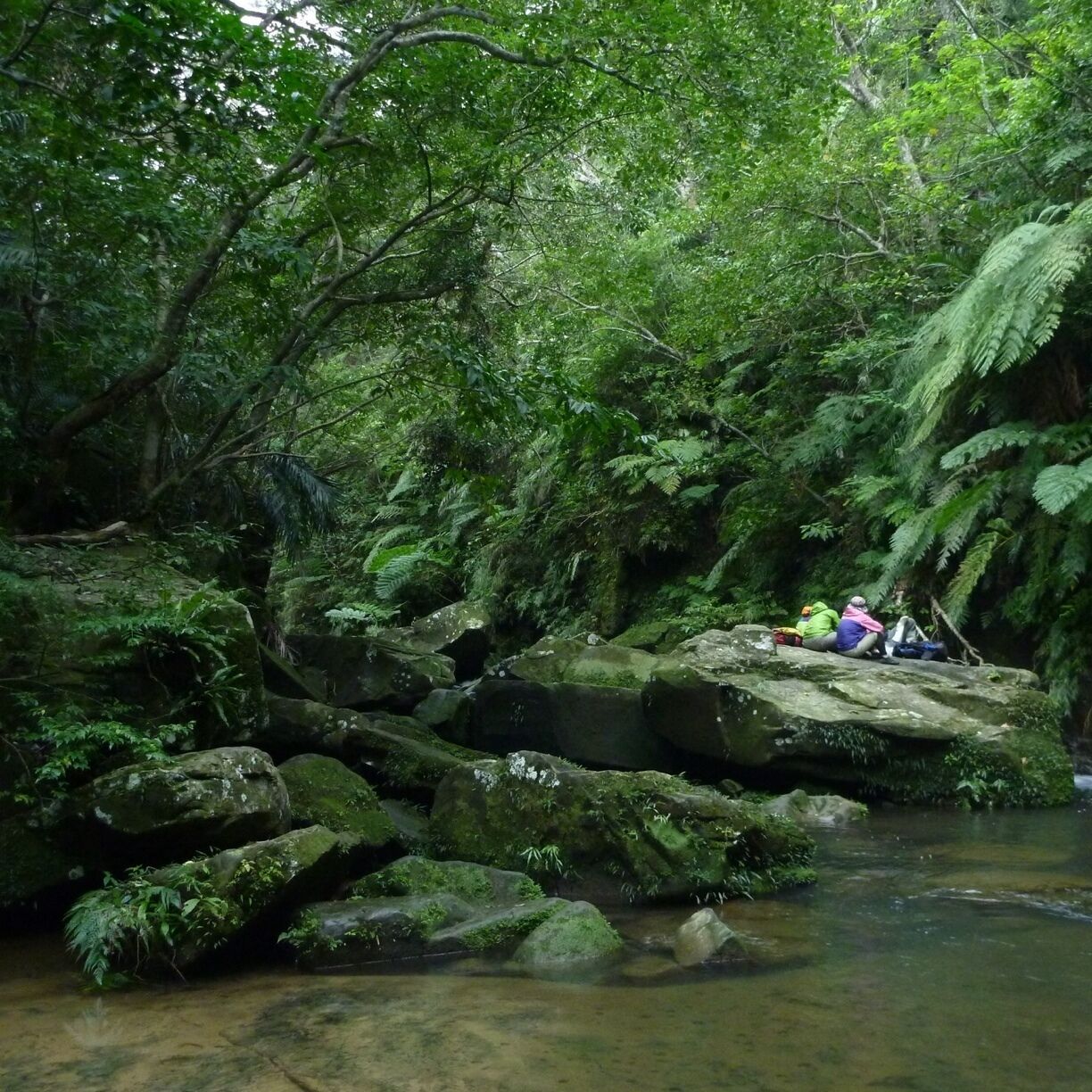 Jungle in Japan?
Here is Pinaisara waterfall.