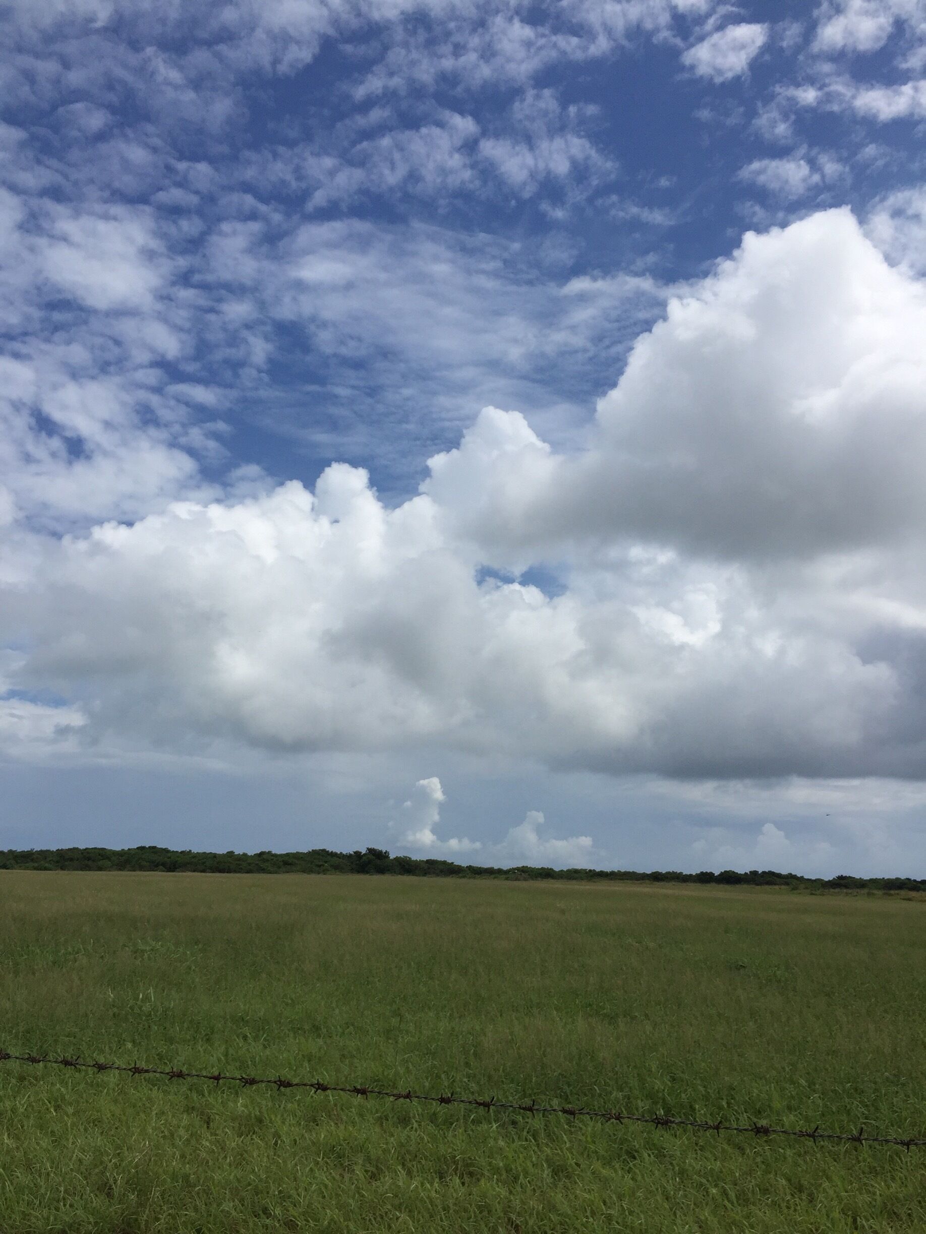 Kuroshima is a flat island. It is a wonderful place where pastures and the sky are spreading.