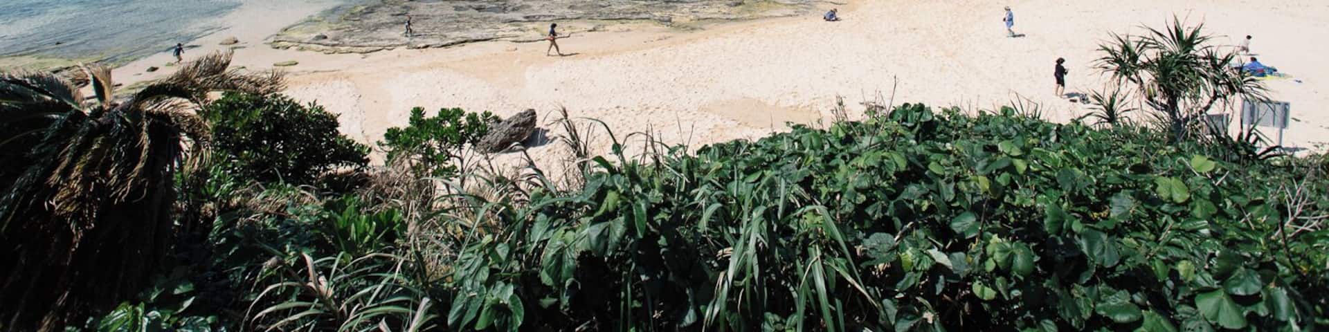 Hoshizuna no Hama (Starsand Beach) is a must visit if you find yourself in the Yaeyama Islands. Public buses that run on Iriomote Island's one main road are few and far between so a kind local let us a hitch a ride with him.