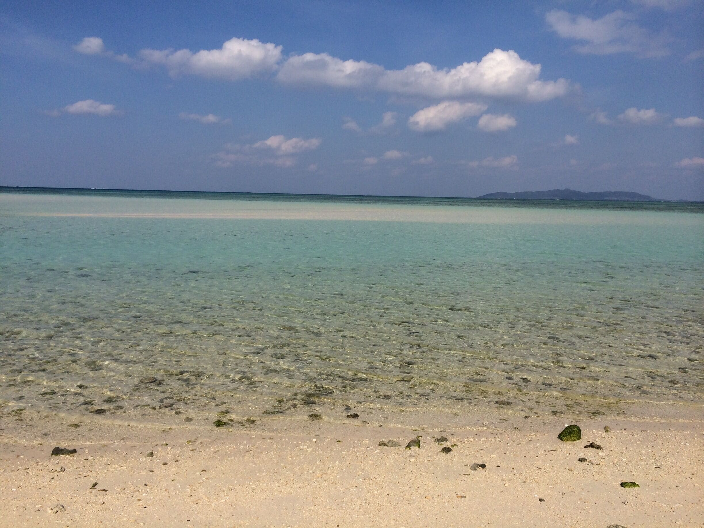 遠浅な海辺