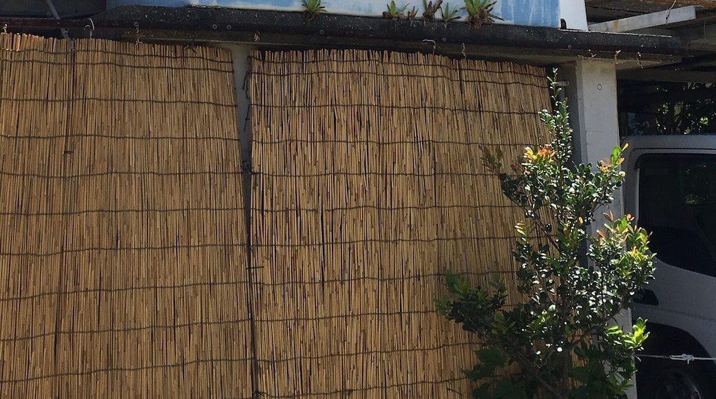 A "sake" brewery of most southern manned island in Japan.
