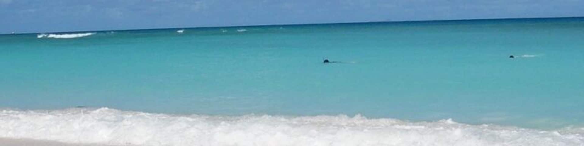 This is Hateruma blue. It's a beautiful!!