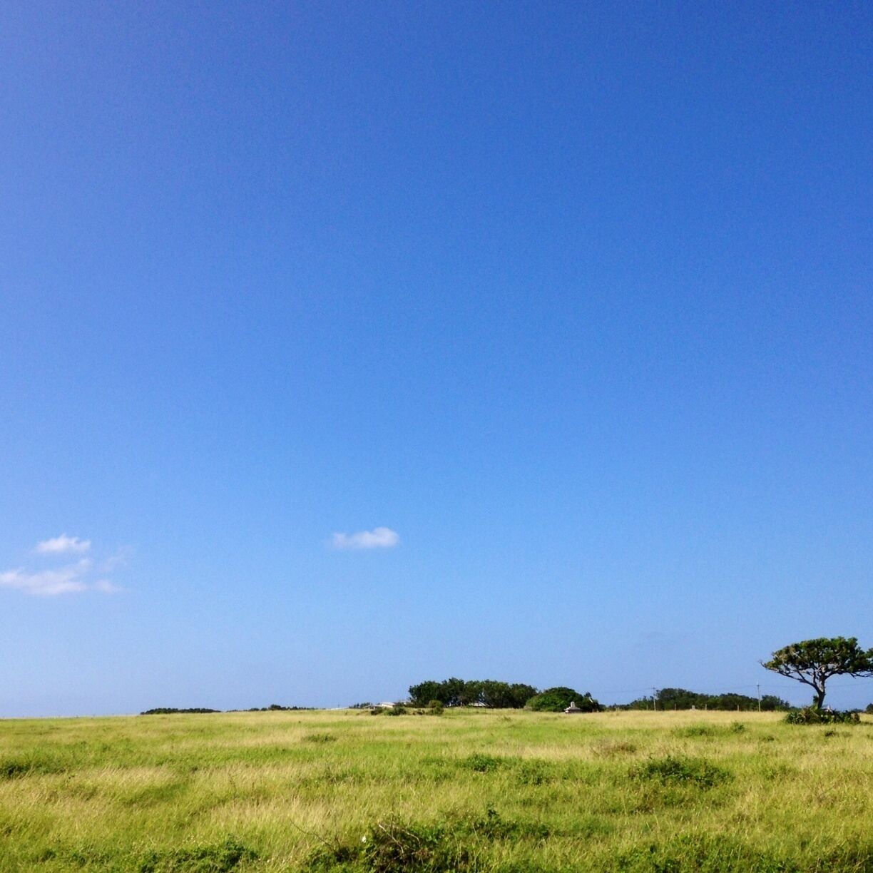 Views of the Kuroshima. 
It is an island of 200 people, but there are 3000 cows. It's a small island ranch spread.