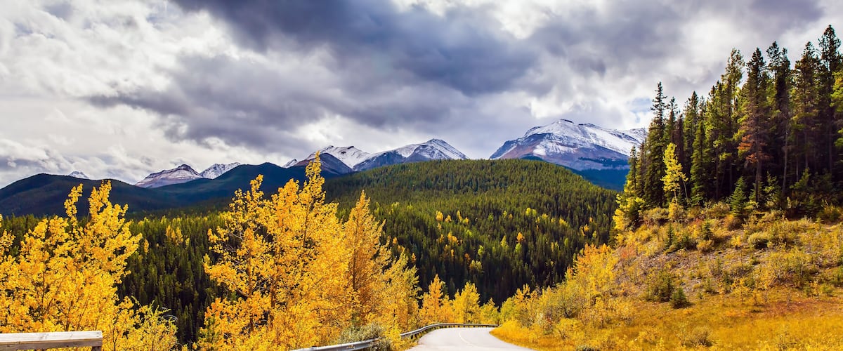 Road to Miette Springs