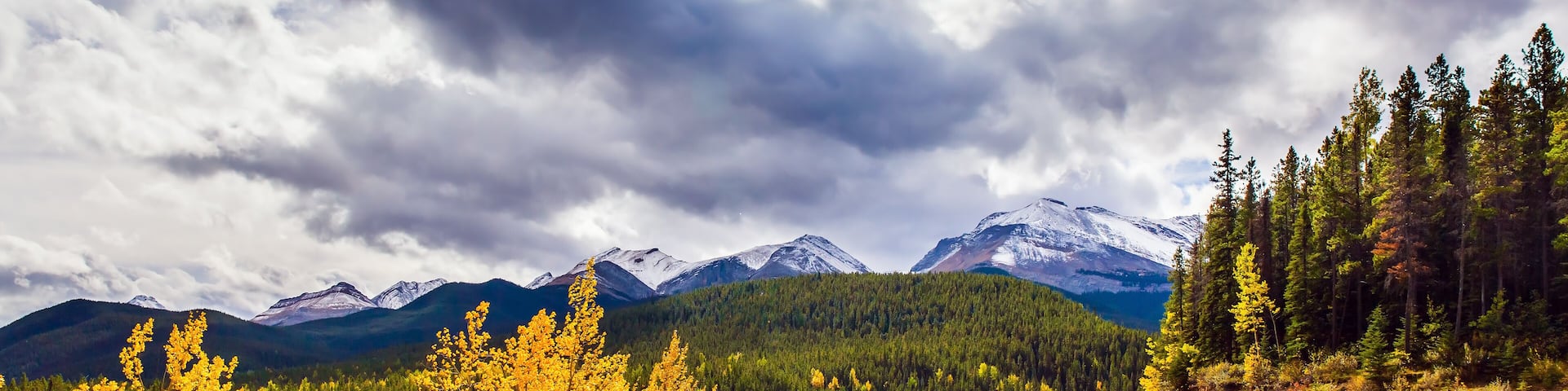 Road to Miette Springs