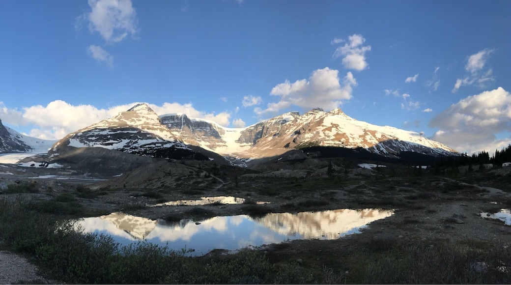 Our view in the morning over the Athabasca Glacier.