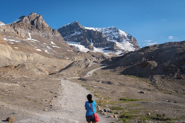 On the way to the foot of the Athabasca Glaciers