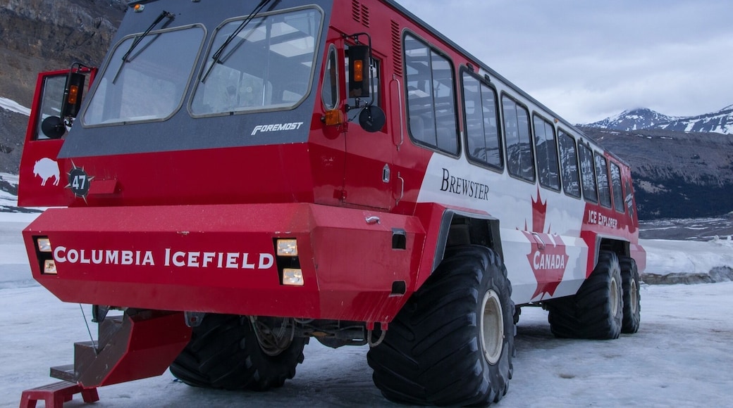 Got to ride in one of these on a glacier! Only 23 made and 21 are in Jasper and the other 2 help scientists get around Antarctica! #Adventure