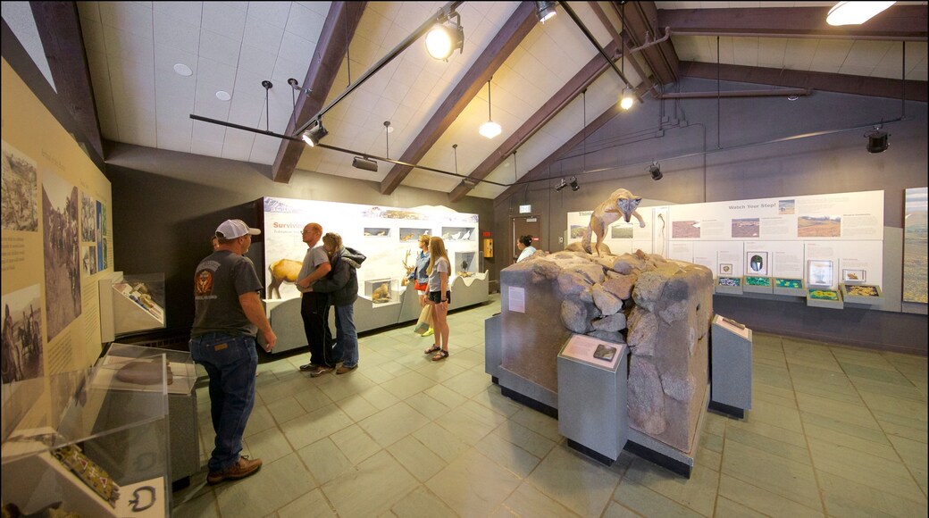 Alpine Visitor Center inclusief interieur en ook een klein groepje mensen