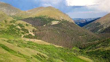 Centro de visitantes de Alpine mostrando vistas de paisajes y escenas tranquilas