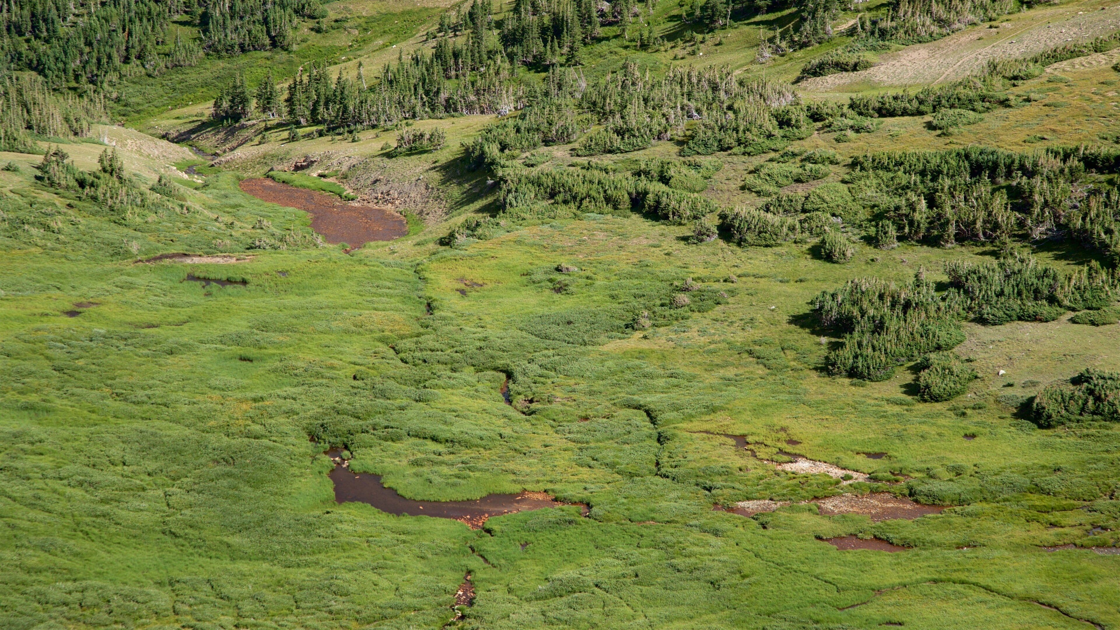 Alpine Visitor Center mettant en vedette paysages paisibles
