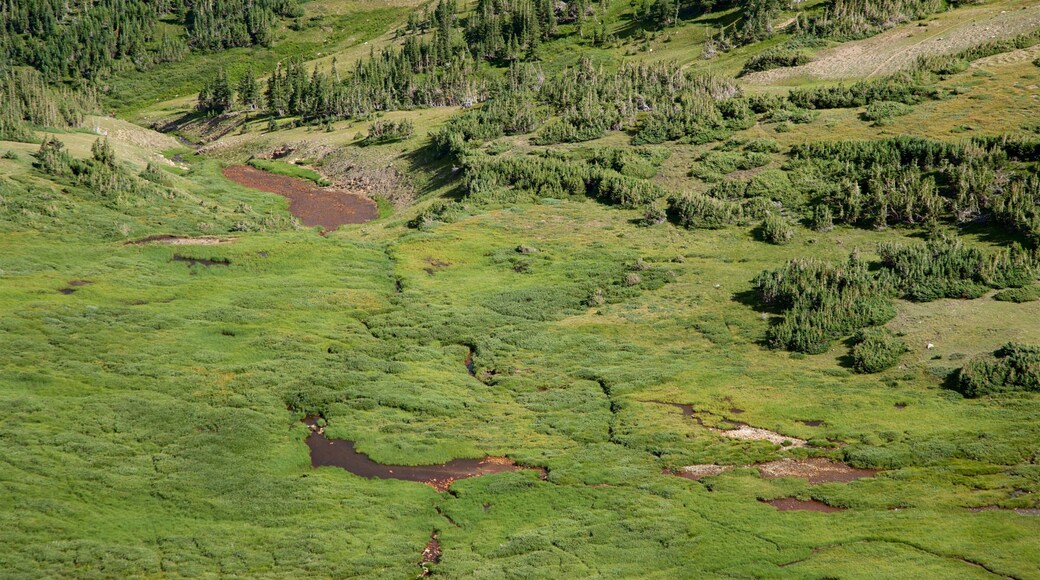 Alpine Visitor Center mettant en vedette paysages paisibles