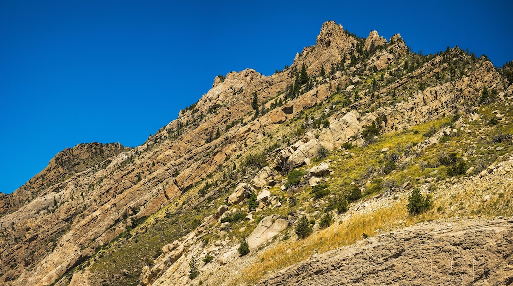 布法羅比爾州立公園