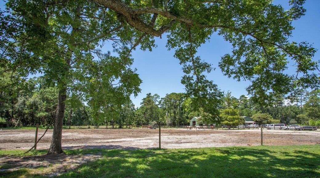 Inlet Point Plantation