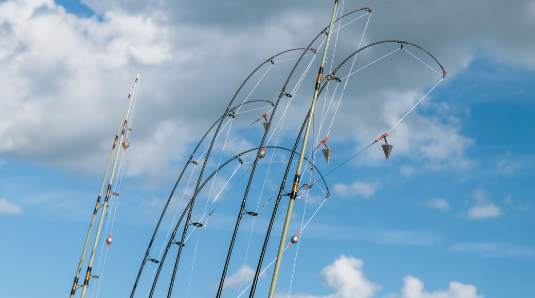 Beach at Daytona Beach showing fishing