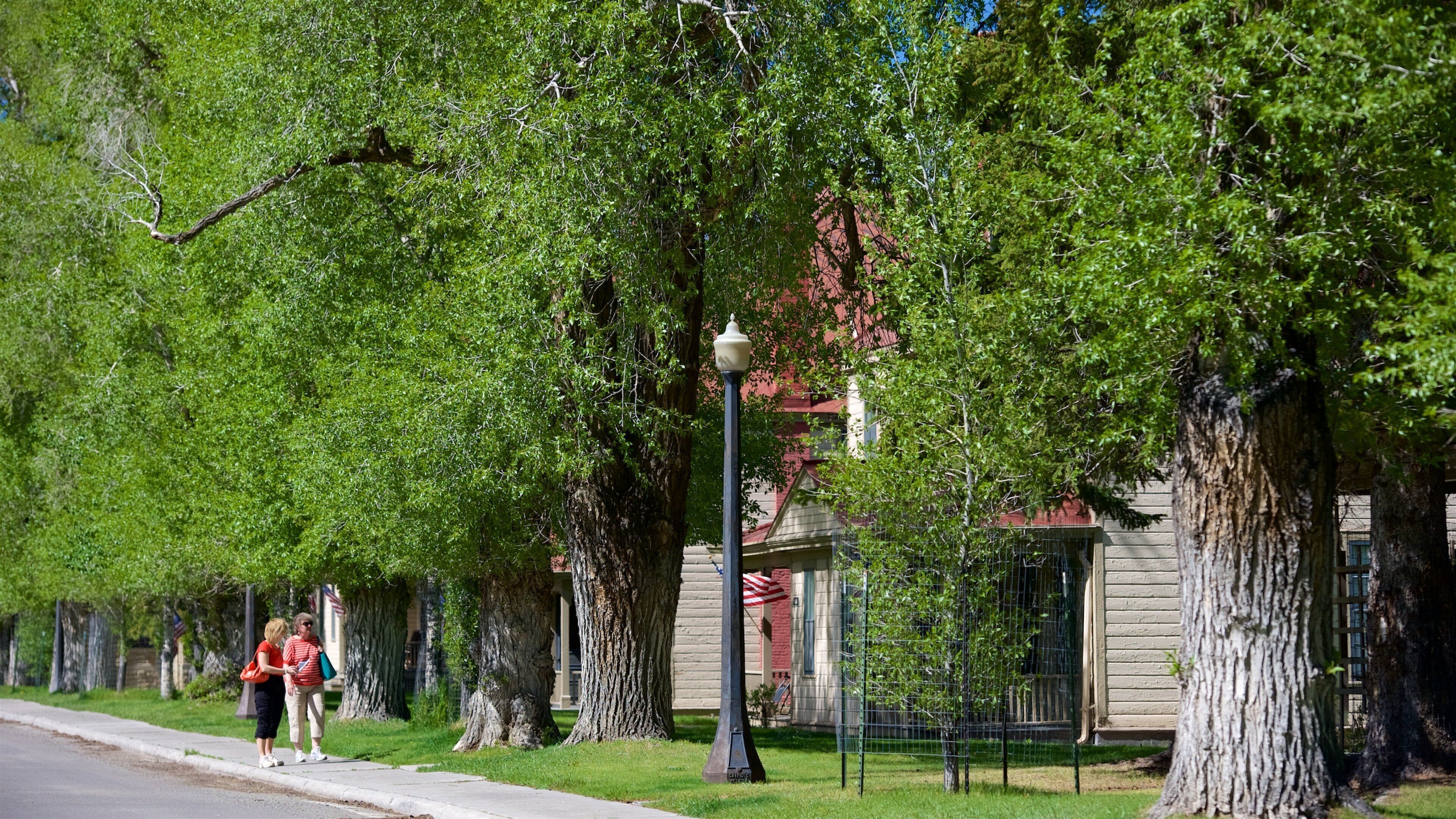 Fort Yellowstone Historic District som visar vandring och en liten stad eller by såväl som en kvinna