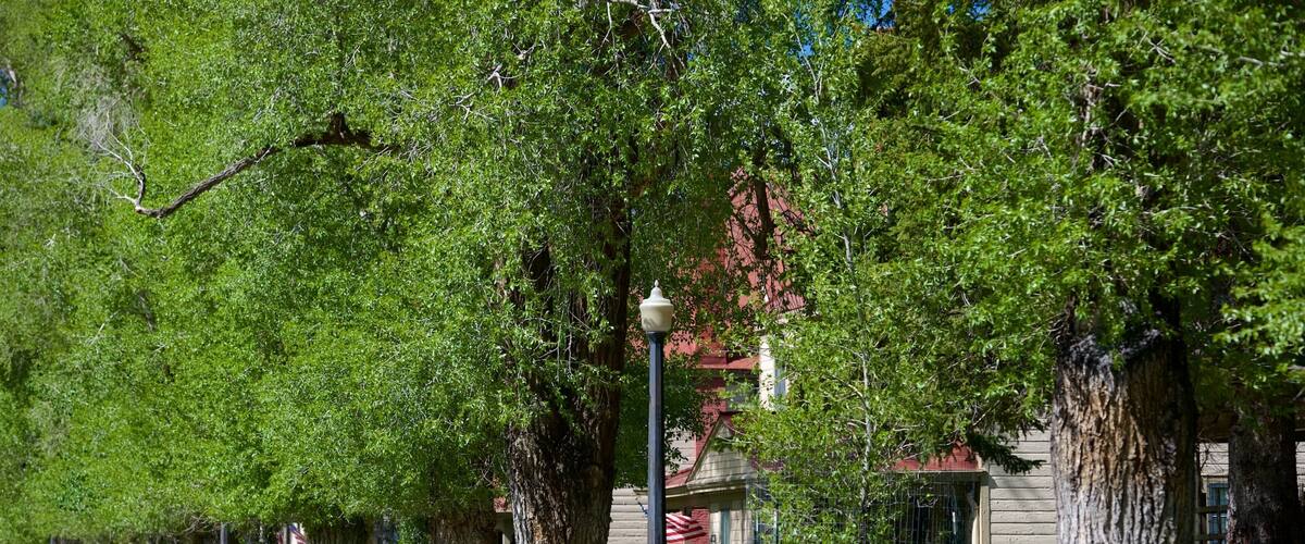 Fort Yellowstone Historic District