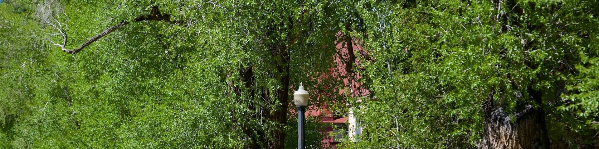 District historique Fort Yellowstone montrant petite ville ou village et randonnée ou marche à pied aussi bien que femme