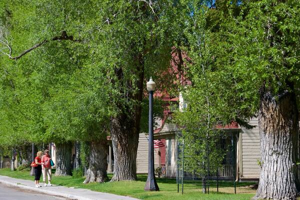 District historique Fort Yellowstone montrant petite ville ou village et randonnée ou marche à pied aussi bien que femme