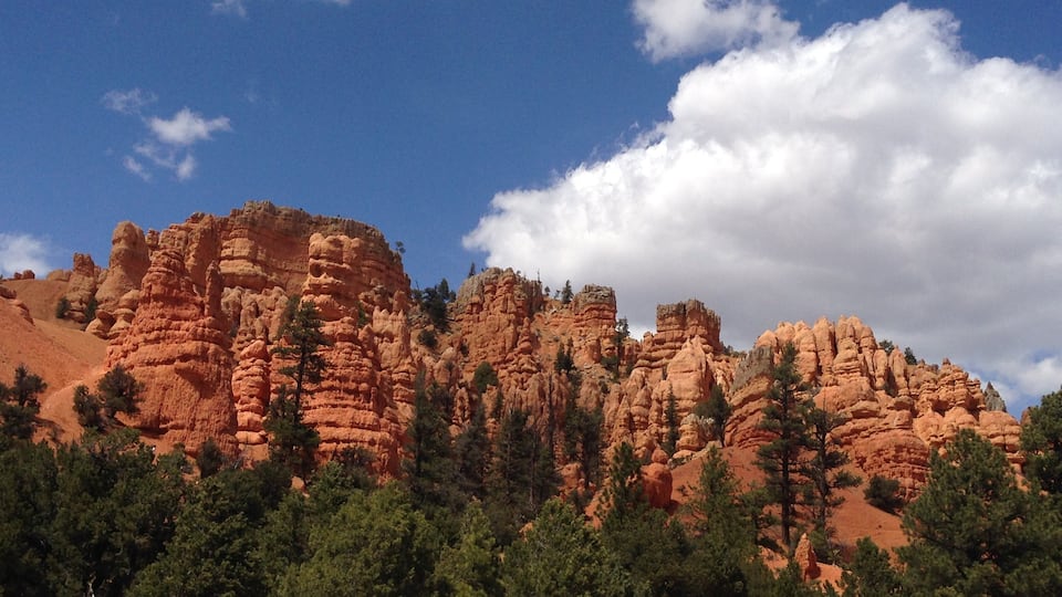 A rugged red rock formation with trees in the foreground.