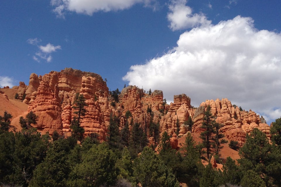 A rugged red rock formation with trees in the foreground.