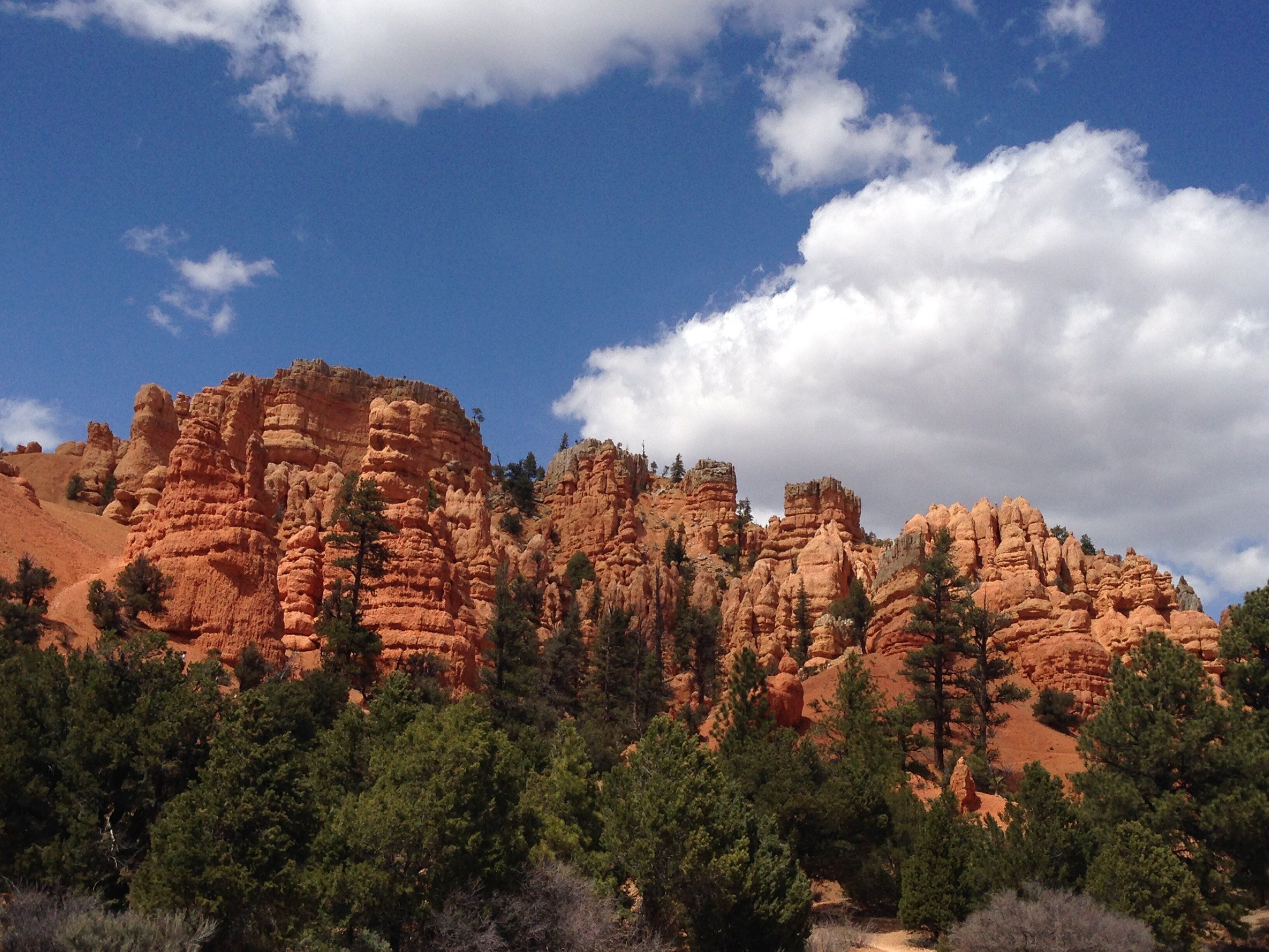 A rugged red rock formation with trees in the foreground.