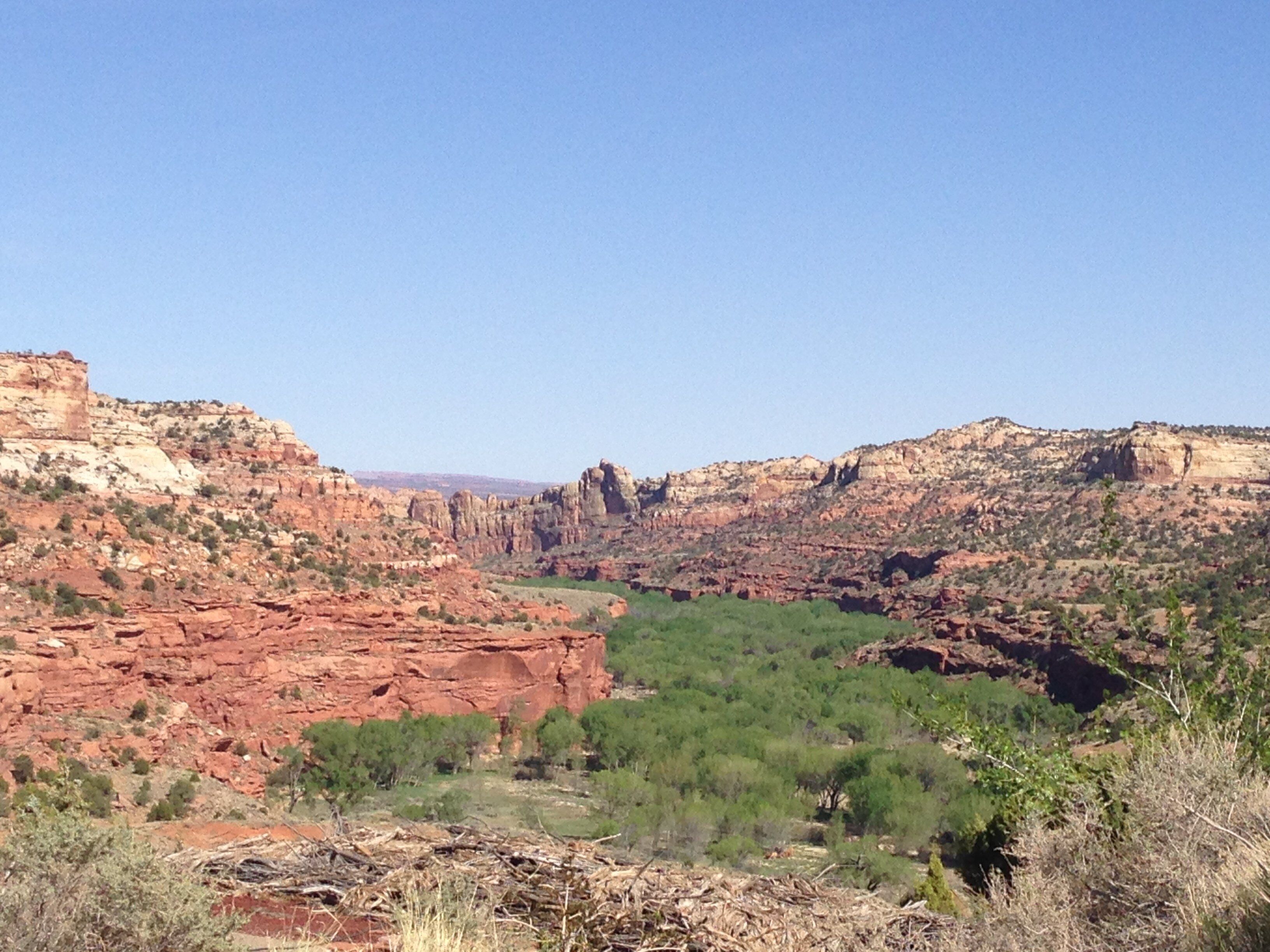 Bryce Canyon- Dixie National Forest, UT