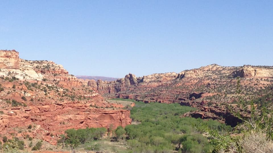A canyon with red rock formations and green vegetation.