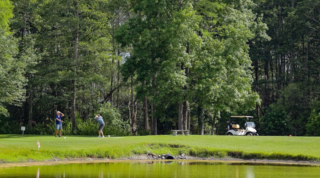 Tupelo Bay Golf Center featuring golf and a pond as well as a couple