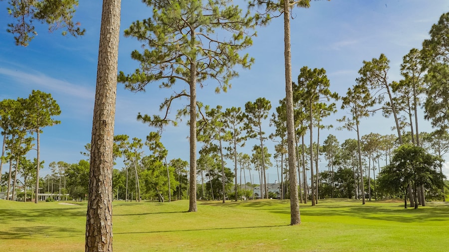 Tupelo Bay Golf Center showing golf