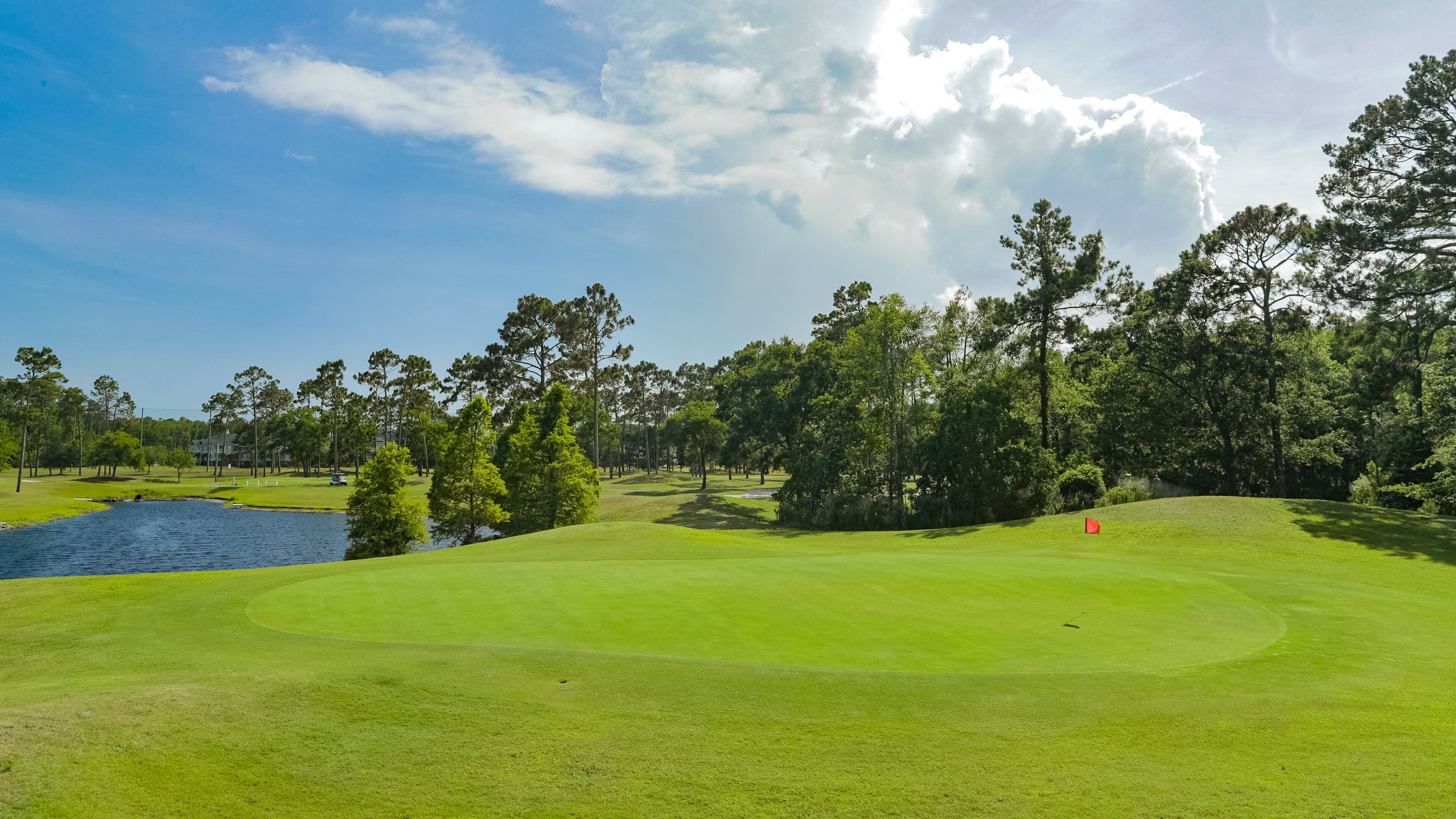 Tupelo Bay Golf Center showing golf
