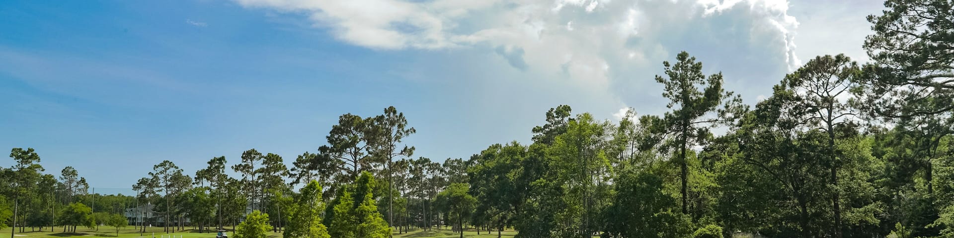 Tupelo Bay Golf Center showing golf