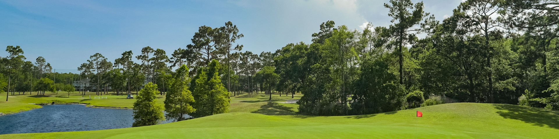 Tupelo Bay Golf Center showing golf
