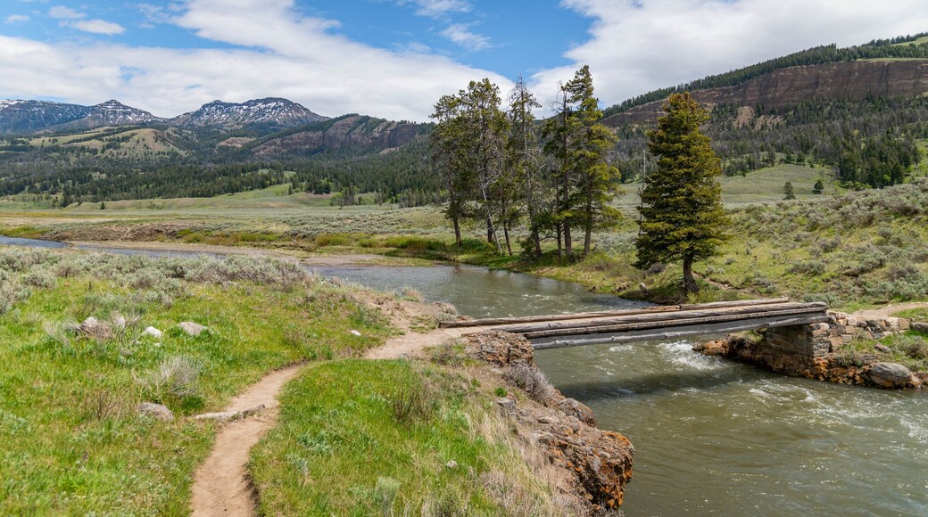 Lamar Valley showing a river or creek, landscape views and tranquil scenes