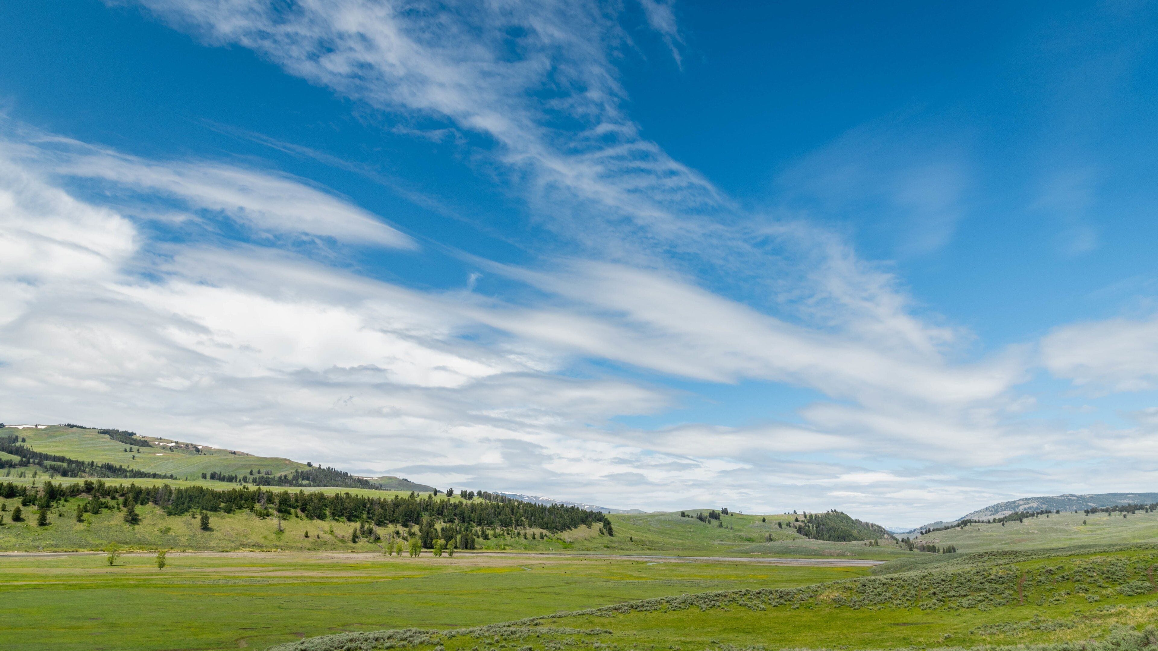 Lamar Valley which includes landscape views and tranquil scenes